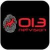 013 Netvision Logo