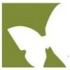 A First Name Basis Logo