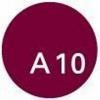 A10 Capital Logo