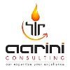 Aarini Consulting Logo