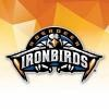 Aberdeen IronBirds Logo