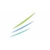 Accentus Logo