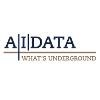 Accurate Infrastructure Data Logo