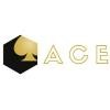 ACE (NY) Logo