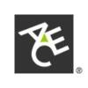 ACE INA Logo