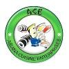 ACE Sushi Logo
