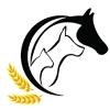 ACJ International Logo