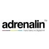 Adrenalin eSystems Logo