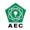Advanced Electronics Company Logo