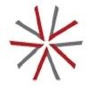 Advanced Group Logo
