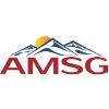 Advanced Management Strategies Group Logo