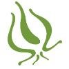 Advanced Onion Logo