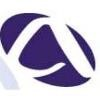 Advantage 2000 Consultants Logo