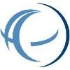 Advent Global Solutions Logo