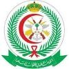 AFHSR Logo