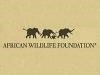 African Wildlife Foundation Logo