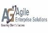 Agile Enterprise Solutions Logo