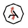 Agile Infoways Logo