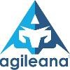 Agileana Logo
