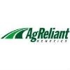 AgReliant Genetics Logo