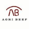 Agri Beef Logo