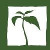 Agros International Logo