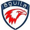 Aguila Consulting Logo