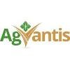 AGVANTIS Logo