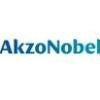 Akzo Nobel Worldwide Logo