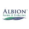 Albion Fisheries Logo