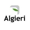 Algieri Logo