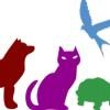 All Creatures Great & Small Veterinary Hospital Logo