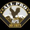 All Pro Security Logo