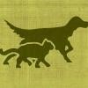 All The Best Pet Care Logo
