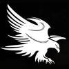 Allegiance Consulting Logo