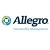 Allegro Development Logo
