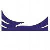 Altair Business Consulting Logo