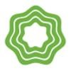 Alternate Energy Logo