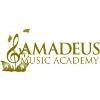 AMADEUS MUSIC ACADEMY Logo