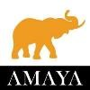 Amaya express Logo