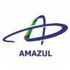 Amazul Logo