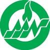 American Academy of Nursing Logo