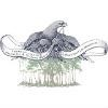 American Alliance Financial & Funding Group Logo