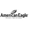 American Eagle Financial Credit Union Logo