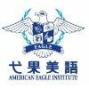 American Eagle Institute Logo