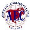 American English Academy Logo