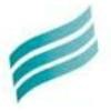 American Health Holding Logo