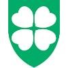 American Hospital Dubai Logo