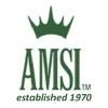 American Marketing Systems Logo