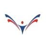 American Medical Logo